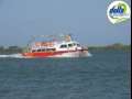 Especial Delta - Actividad o excursión por el delta del Ebro | Aturebre