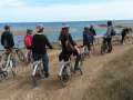 Bicicleta - ruta laguna del Delta : Les Olles - Actividad o excursión por el delta del Ebro | Deltaturistic