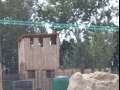 Paintball en el Delta del Ebro