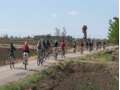 Programa escolar 1 dia - Activitat o excursió pel Delta de l'Ebre | Deltaturistic