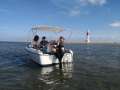 Alquiler de embarcación sin titulación 6 pax Puerto de l'Ampolla - Actividad o excursión por el delta del Ebro | EbreOci
