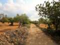 Finca rústica con antigua masía de piedra con pozo propio