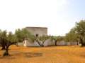 Rustic finca with old stone farmhouse with its own well