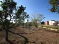 House with a beautiful plot in the Ebro Delta.