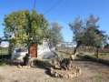 Casa amb bonica parcel al Delta de l'Ebre.