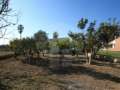 House with a beautiful plot in the Ebro Delta.