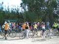 bike rental 8h Deltebre-Riomar