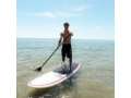 Paddle Surf en las bahías del Delta: los Alfacs - Actividad o excursión por el delta del Ebro | Aturebre