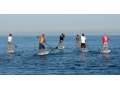 <br />Paddle Surf Bay des alphacs - Activité et sorties pour le delta de l'Ebre | EbreOci