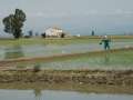 Especial Panorámica Delta norte - Actividad o excursión por el delta del Ebro | Aturebre