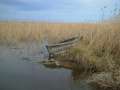 Ruta Senderista en las lagunas del Delta: la Tancada