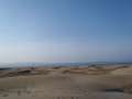 Ruta Senderista al desert del Delta: El Fangar